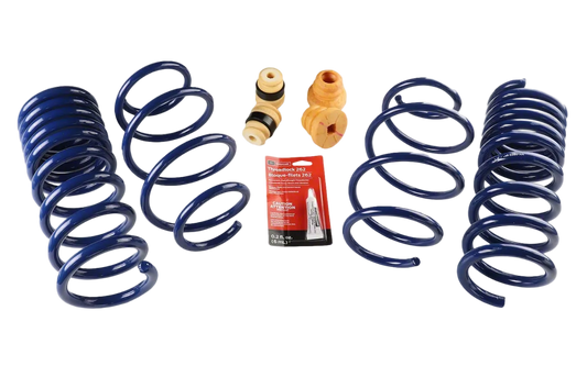 Ford Performance 15-23 Mustang Street Lowering Spring Kit