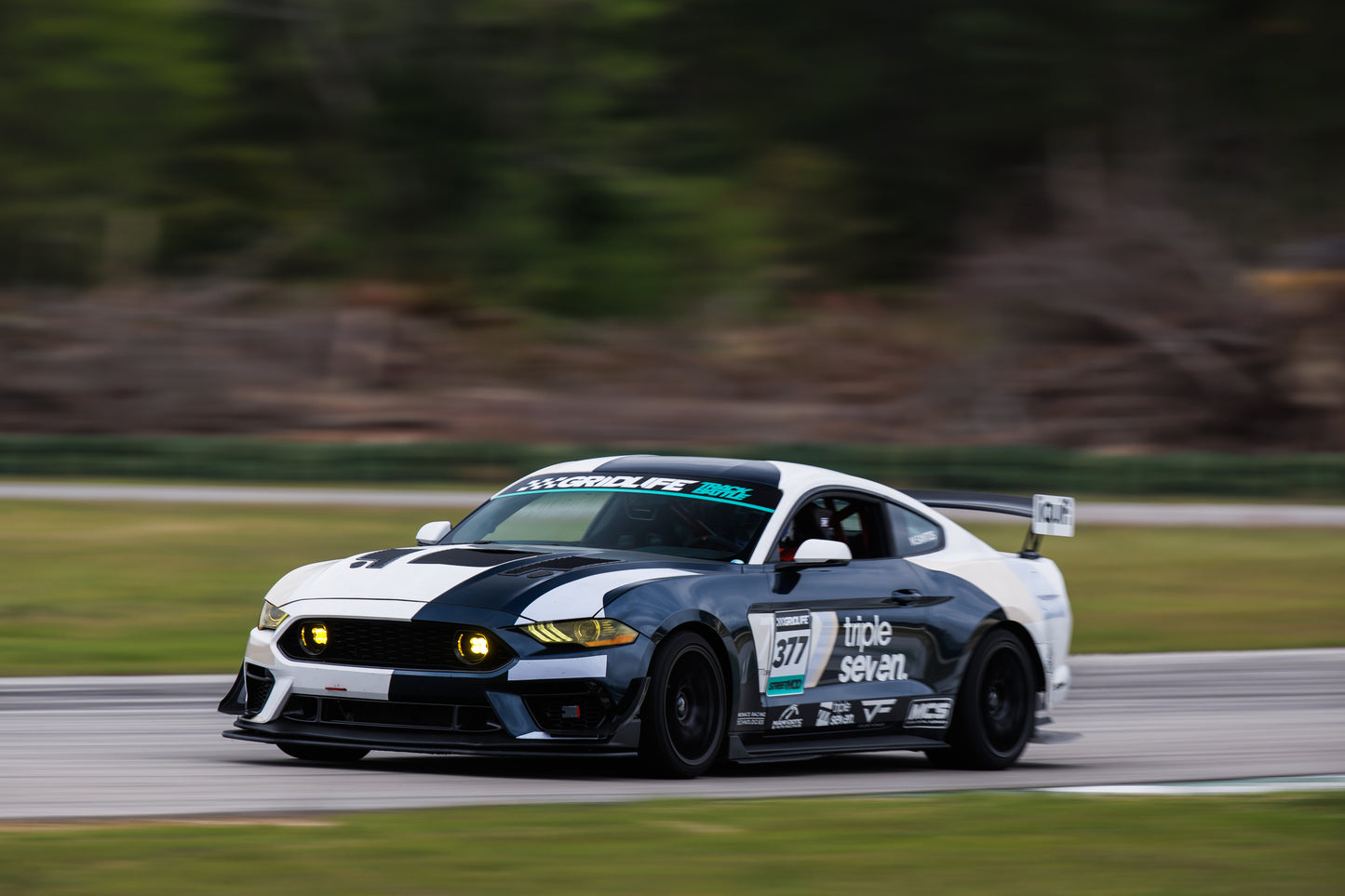 2015-2023 Mustang GTE Lights